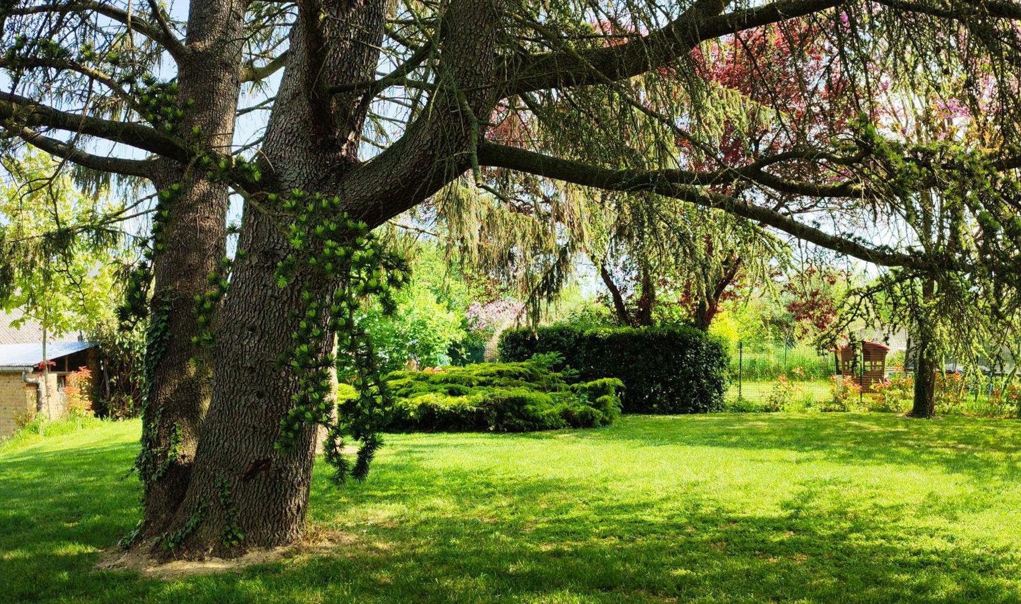 Hedoniste 1 Herpy-l'Arlesienne Exterior foto